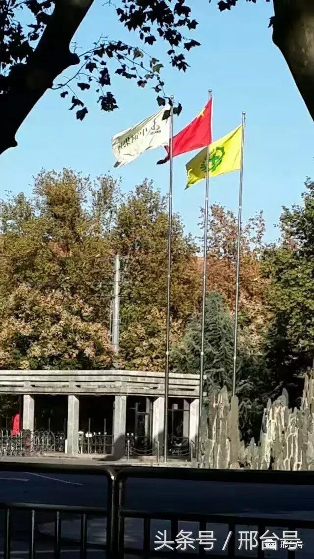 冶金厂六十年的记忆情怀！