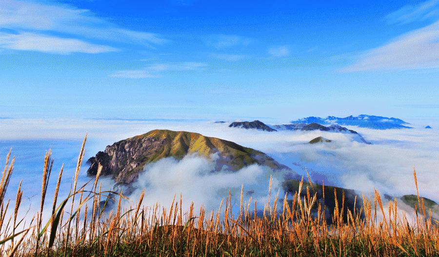 江西哪些景区旅游免门票,江西景区门票2024优惠政策