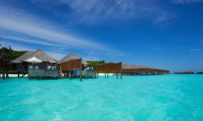 马尔代夫娇丽岛自由行攻略,马尔代夫港丽岛攻略