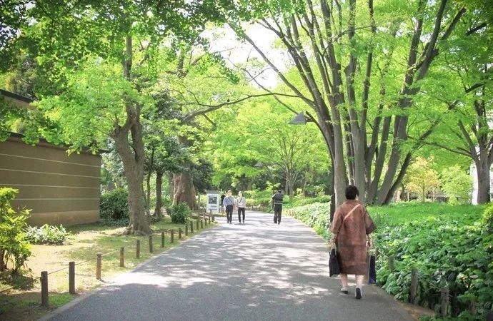 日本关西攻略自由行 (日本关西5日游精品路线推荐)