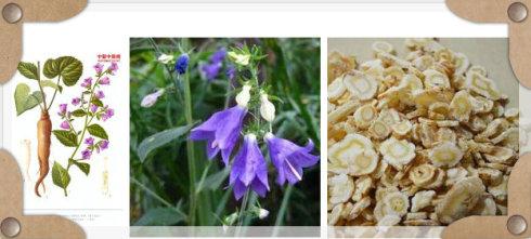 中医常用处方大全,中医常用的方剂及作用