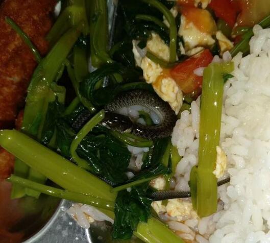 学校食堂奇葩料理,学校食堂奇葩菜月饼