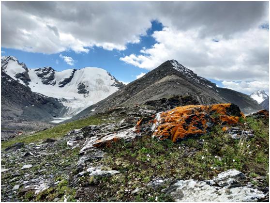 比小米max3好的大屏手机有哪些,小米max3评测超大屏幕的
