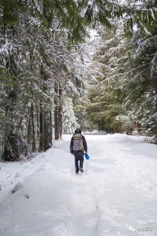 40岁高血压怀孕了怎么办,原发性高血压40岁可以怀孕吗
