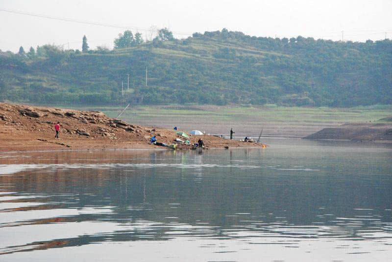 槌￠奔鍜岃崏楸煎摢涓姏姘斿ぇ,鑽夐奔璺熼场楸煎摢涓姏姘斿ぇ
