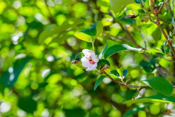 抚顺攻略,抚顺深度游攻略游记