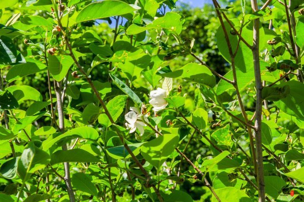 抚顺攻略,抚顺深度游攻略游记