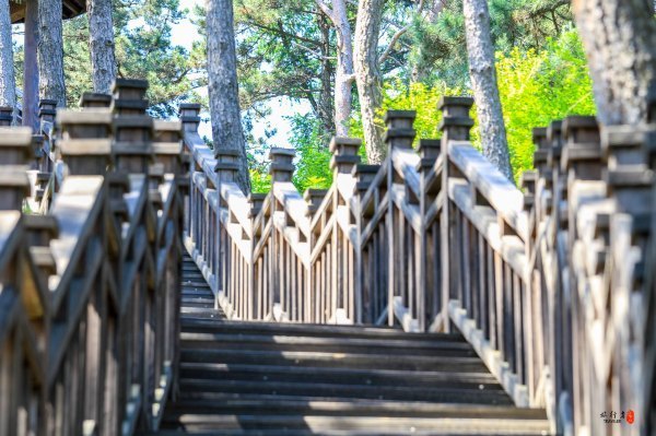 抚顺攻略,抚顺深度游攻略游记