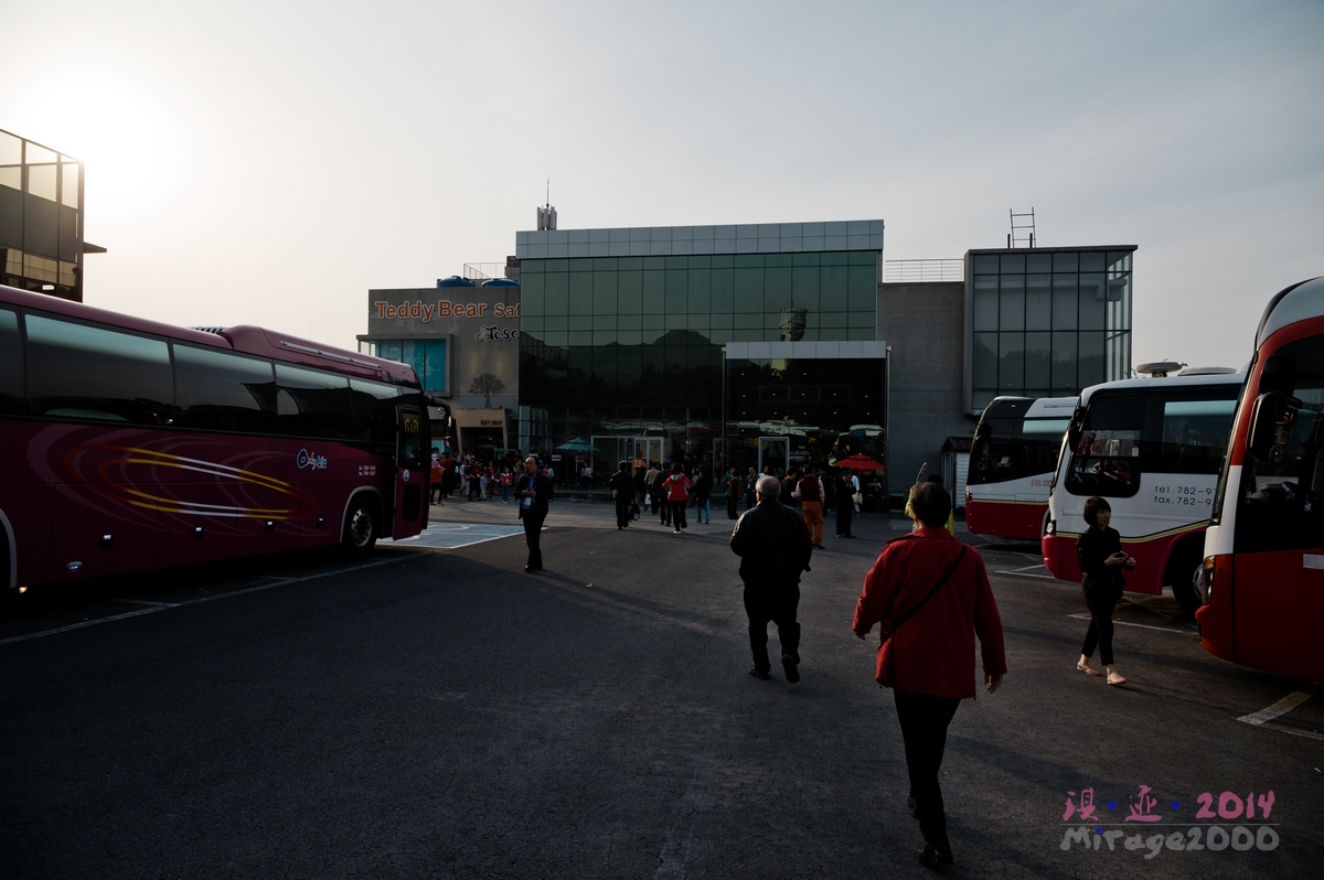 泰迪熊博物馆济州岛拍照攻略,济州岛假泰迪熊博物馆