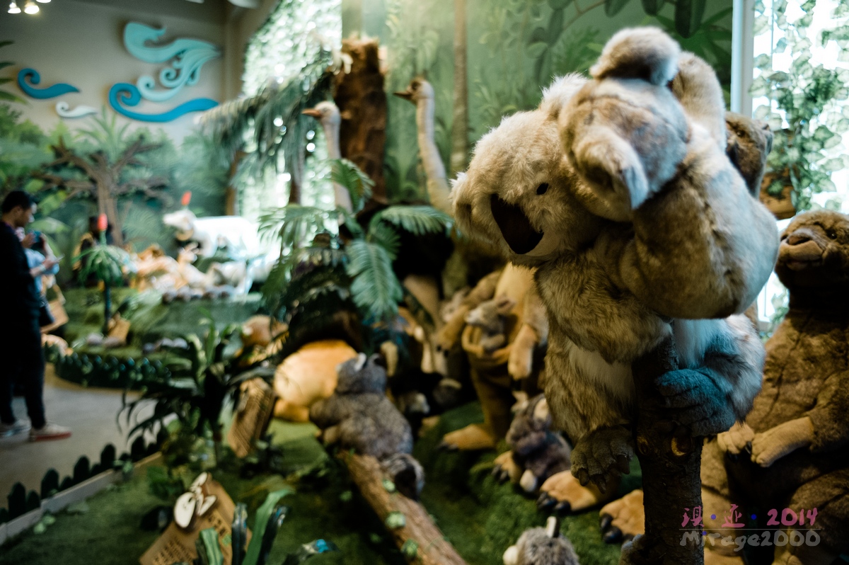 泰迪熊博物馆济州岛拍照攻略,济州岛假泰迪熊博物馆