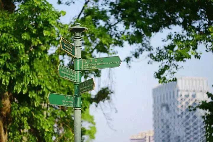 在澳门赌得倾家荡产的人,澳门有多少赌徒