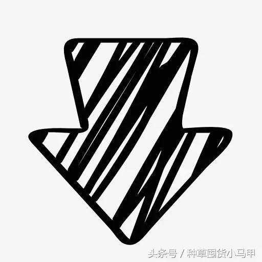 比nars还贵的粉饼,比nars还便宜的化妆品牌