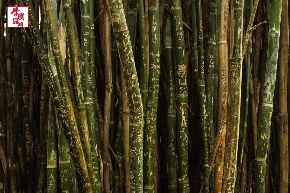 与竹子有关的唯美诗句,一百句最美竹子诗句