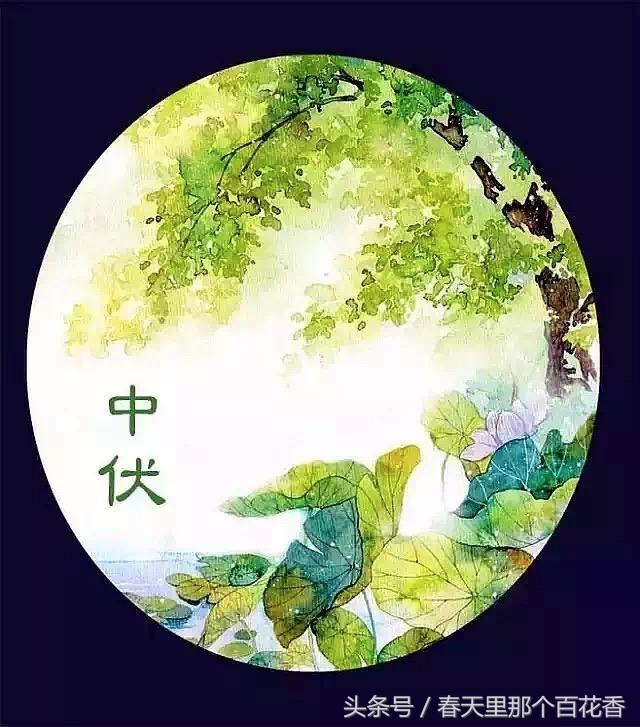 一伏二伏三伏哪伏最热,几伏天最热二伏和三伏哪个最热