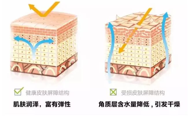 十大最坑爹护肤谣言视频,别再让这些谣言满天飞了