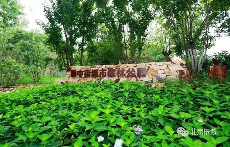 工体与原来的区别,工体为什么要改造