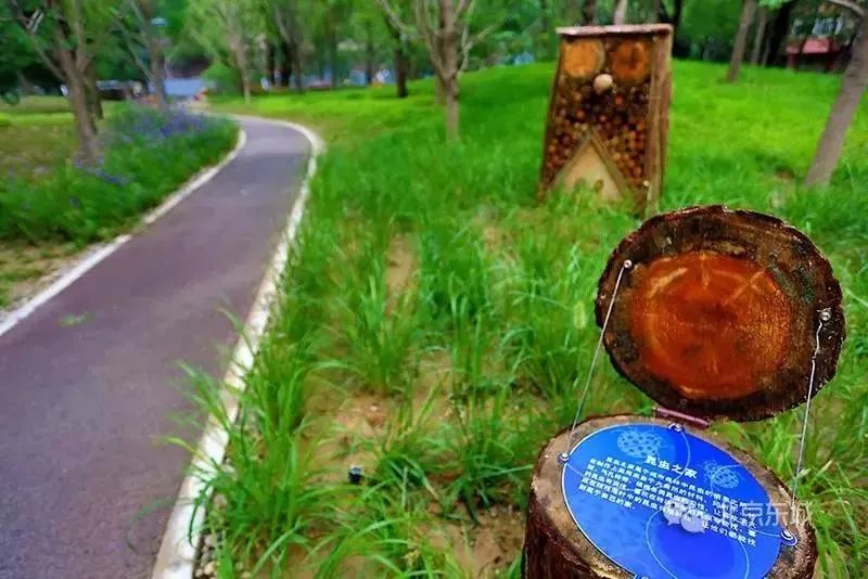 工体与原来的区别,工体为什么要改造