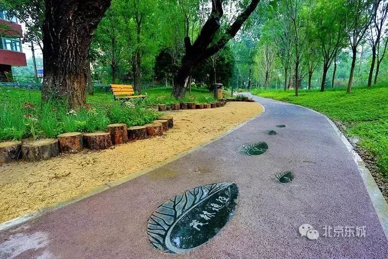 工体为何那么出名,工体为什么叫天花板