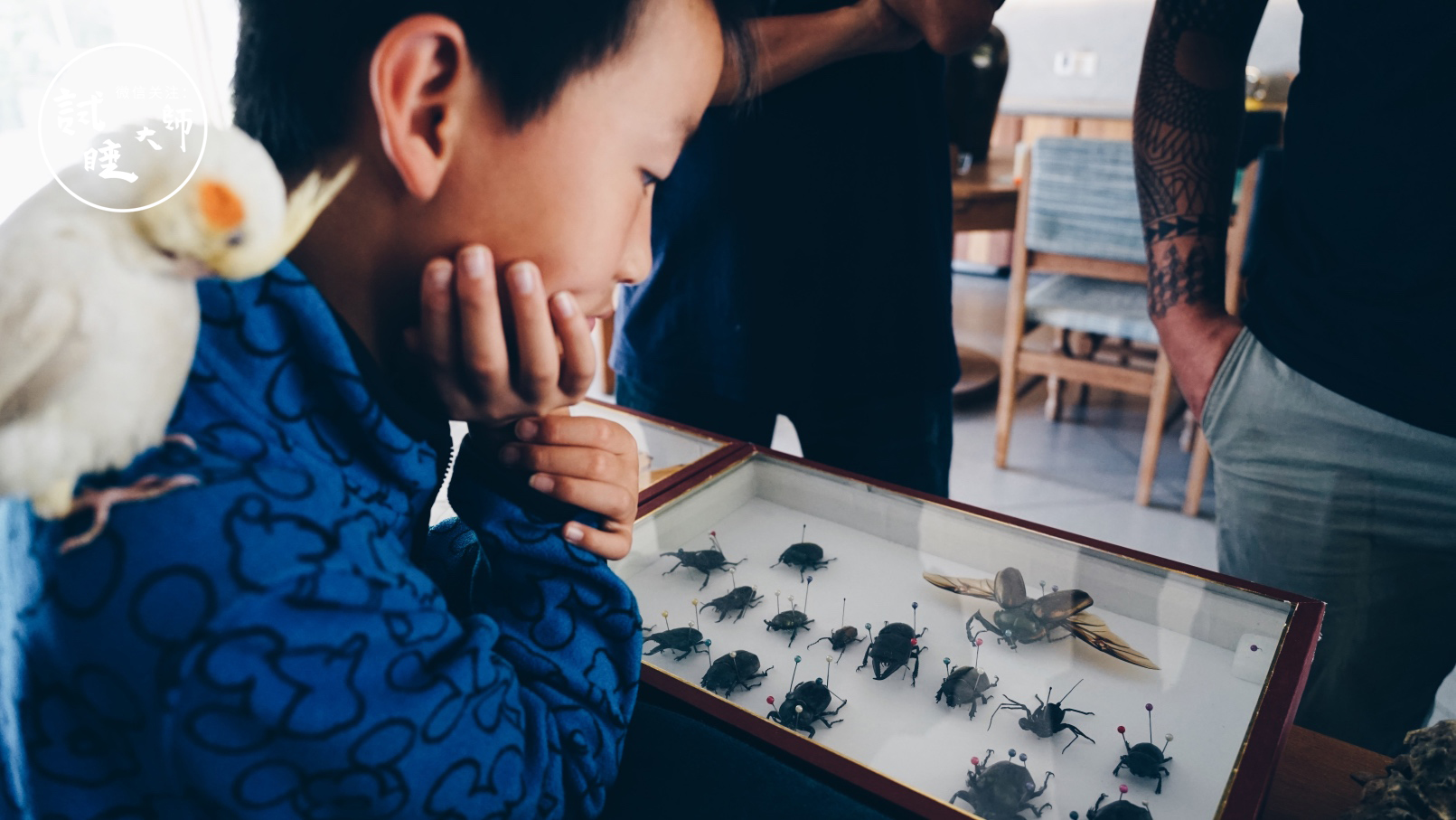 青春旅社王源选秋老师,青春旅社王源莫干山