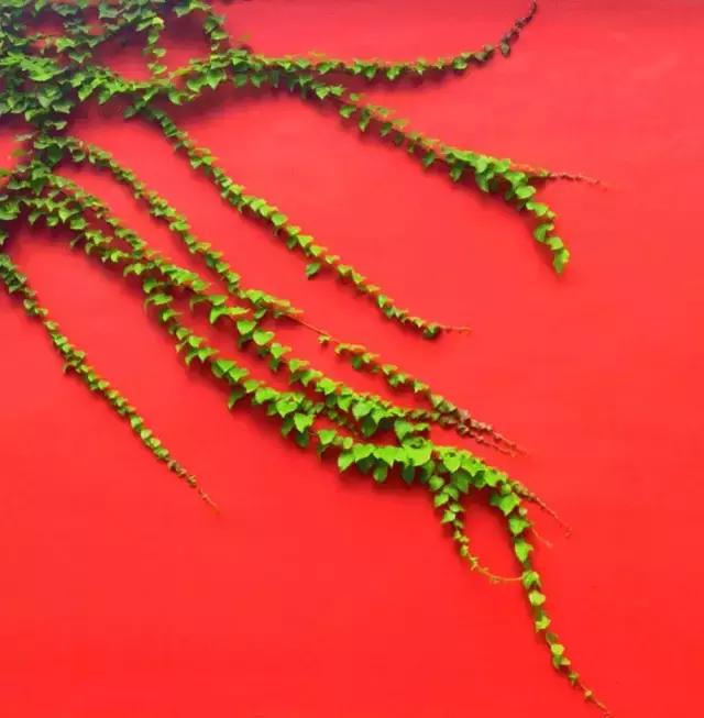 中国红大气豪迈热情洒脱,中国红霸气文案