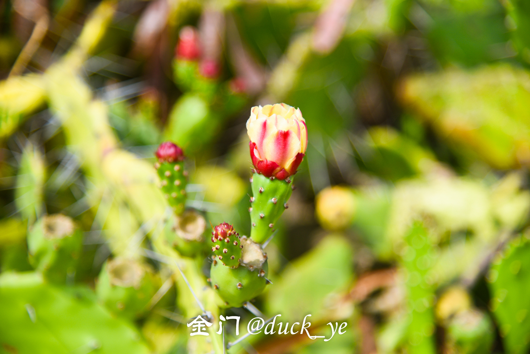 金门岛坑道视频,金门海峡的海底隧道