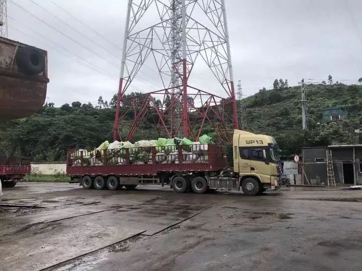 恶心！数百吨韩国人扔掉的旧衣服在浙江被截！你淘来的……