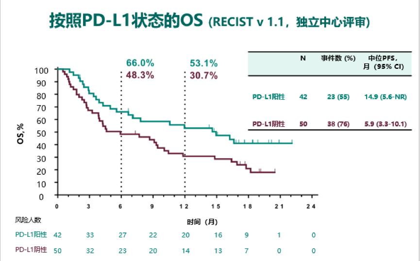 pd-l1对小细胞肺癌疗效,pdl1阳性肺癌治疗