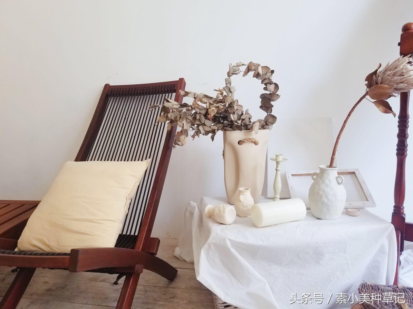 种草记|在仙人掌的阴影下也有华氏度