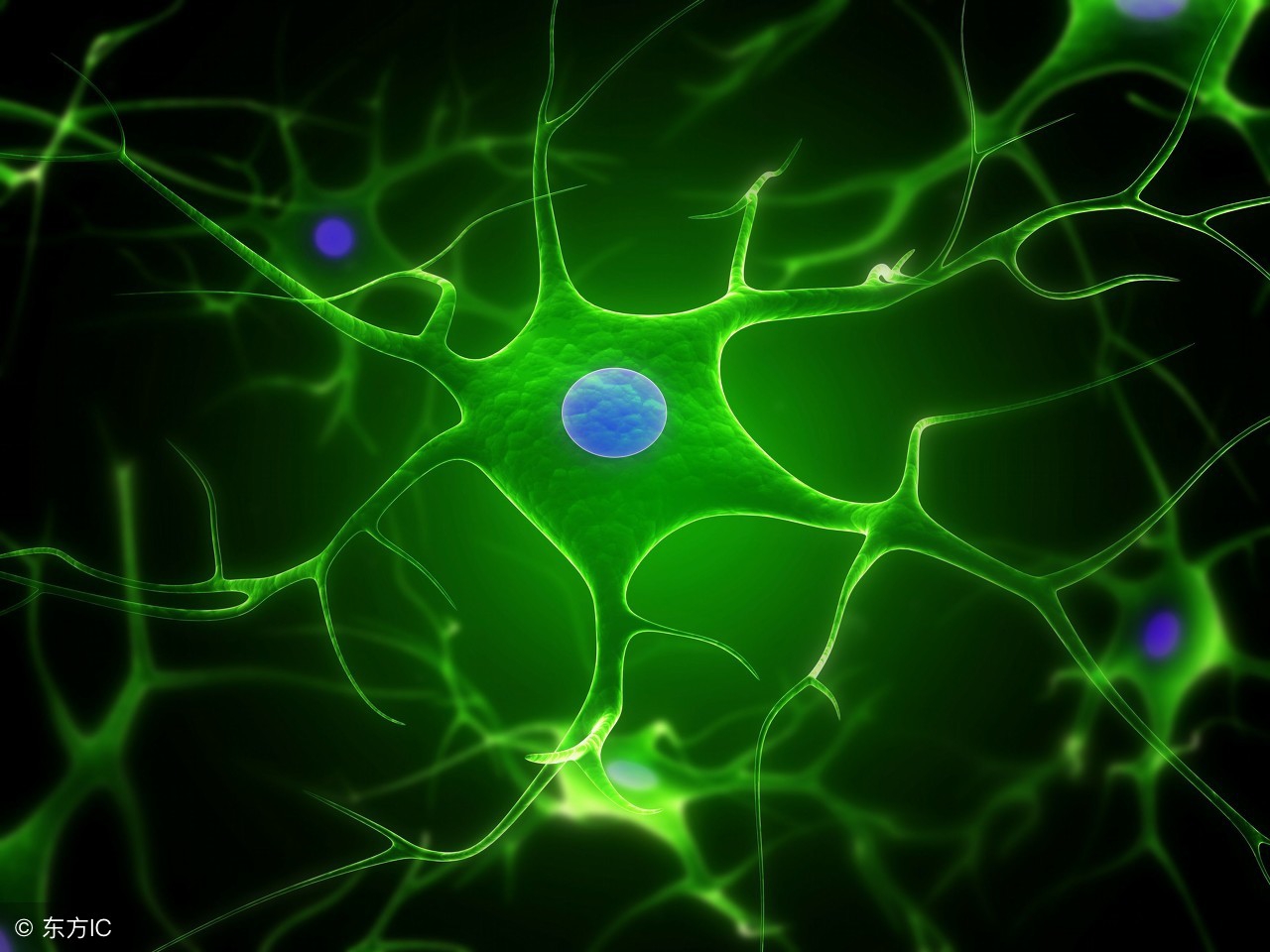 细胞储存费用,储存细胞费用高就很安全吗