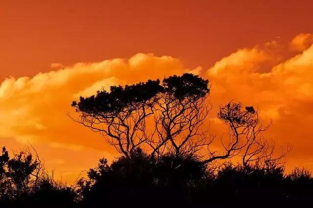 中国儒家孔子文化,儒家对东亚文化的影响