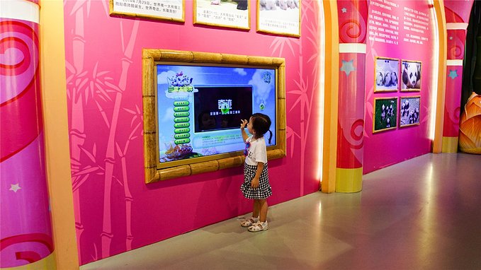 带小孩去长隆欢乐世界畅玩一天,暑假带娃去广州长隆野生动物世界