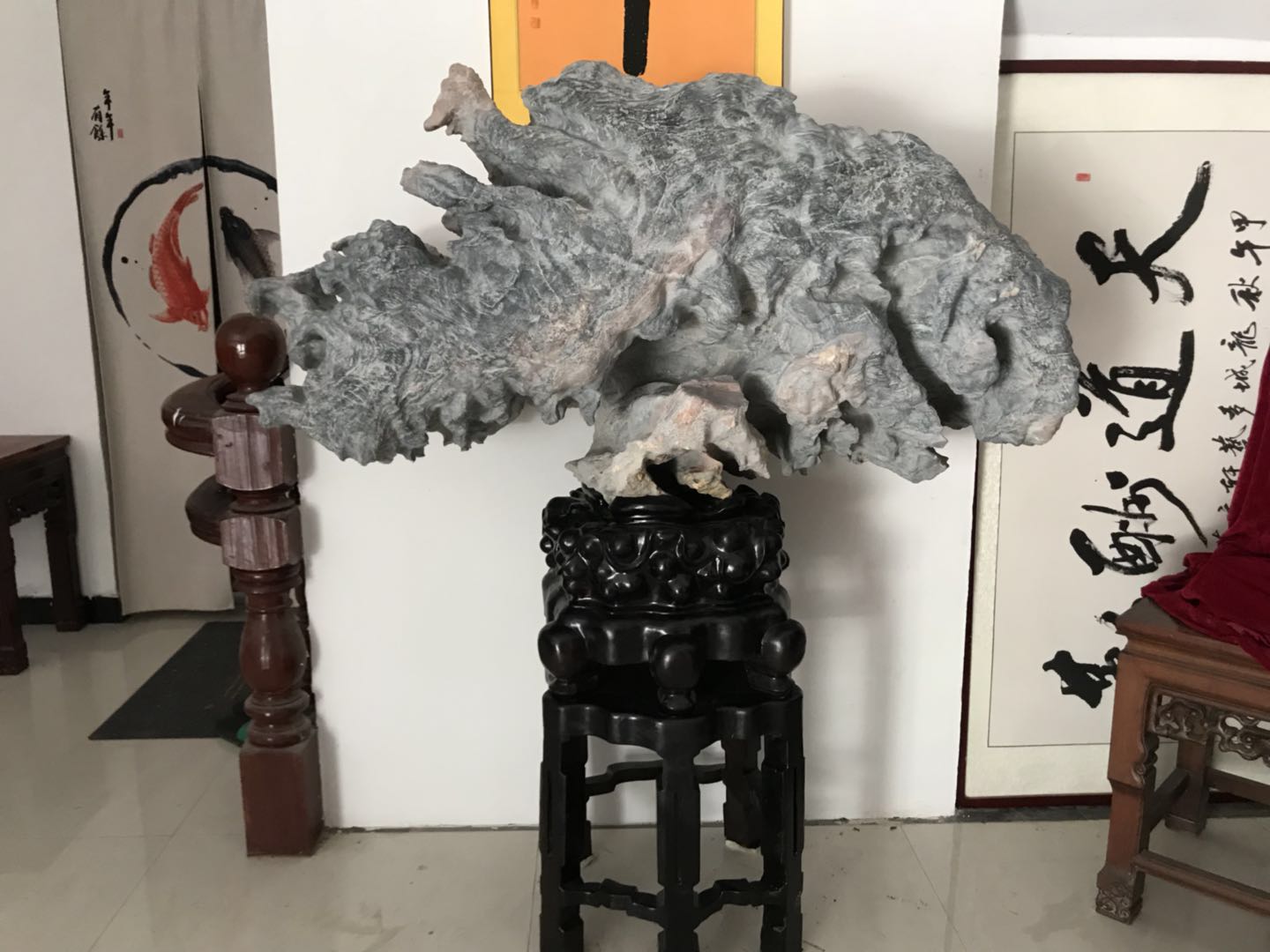 多肉滴水观音养殖方法,滴水观音盆景养殖方法