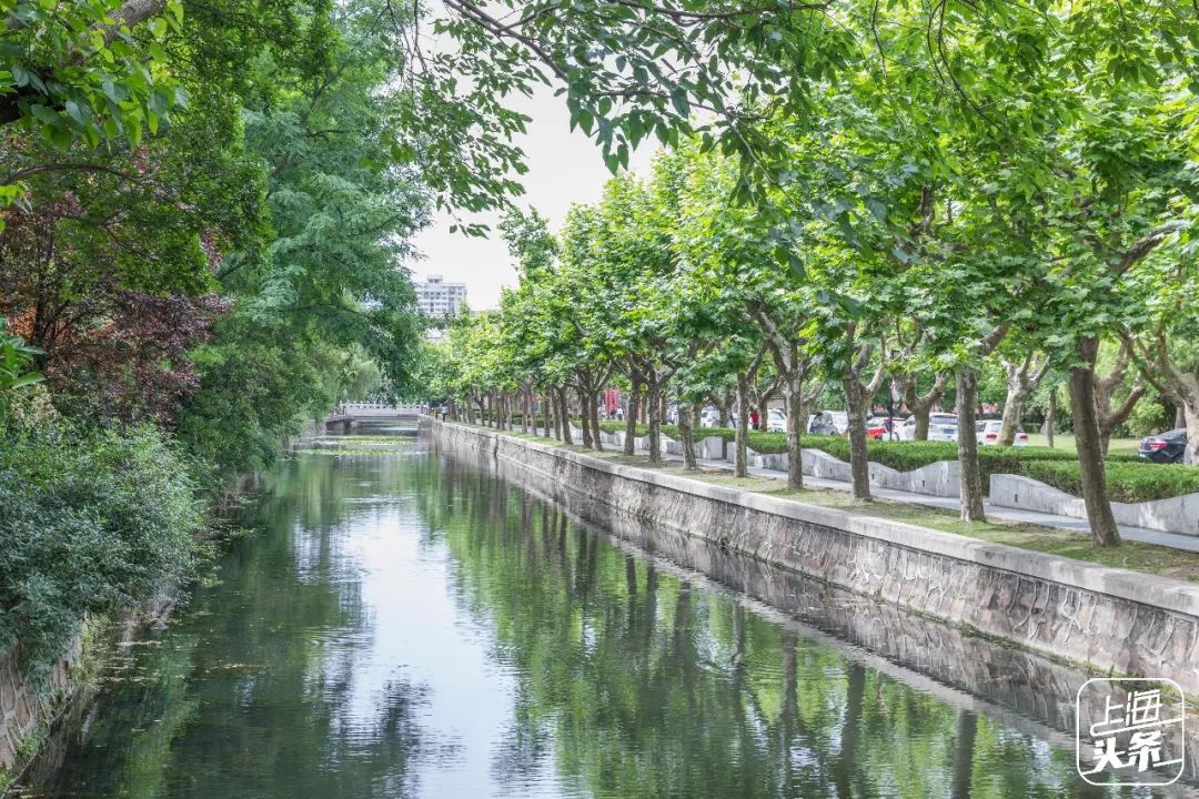 该不该去上海读大学,千万不要来香港读研
