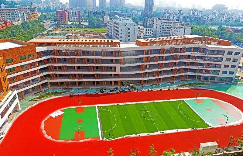 伍家岗排名前十的小学,快看金湾这所学校入选省级称号