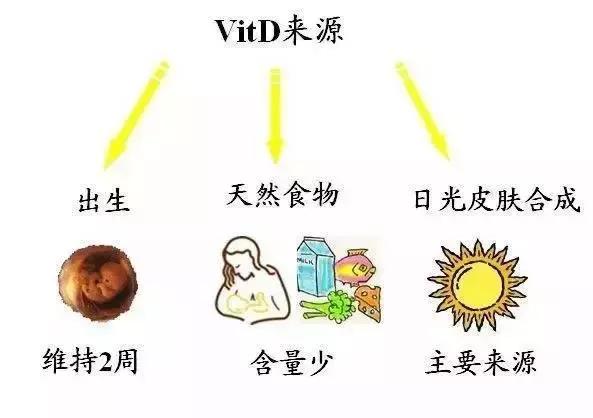 补维生素d还是维生素ad,维生素AD该怎么补