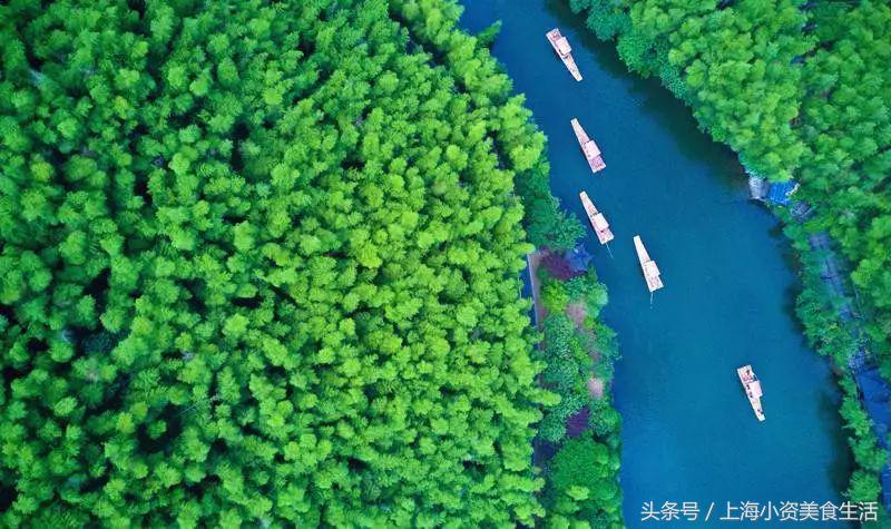 盘点十个江浙沪漂流玩水胜地,江浙附近哪个漂流最好玩