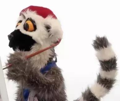 动物好伙伴之动物欢乐岛,超级有趣的动物知识