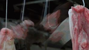 周星驰的小秘密,99%的人不知道熊猫的秘密