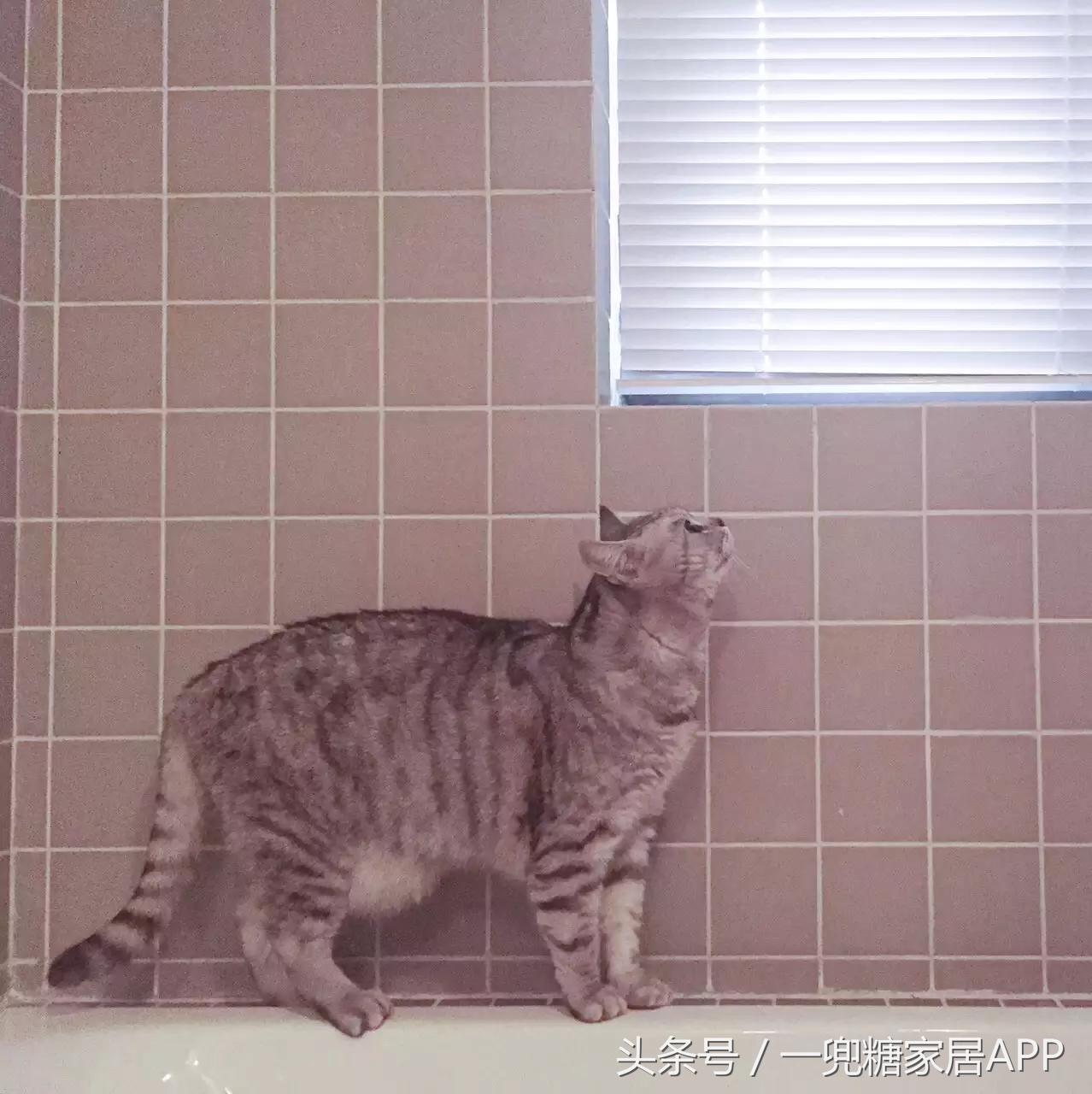 断舍离清理家中旧物老公不愿回家,断舍离丈夫篇