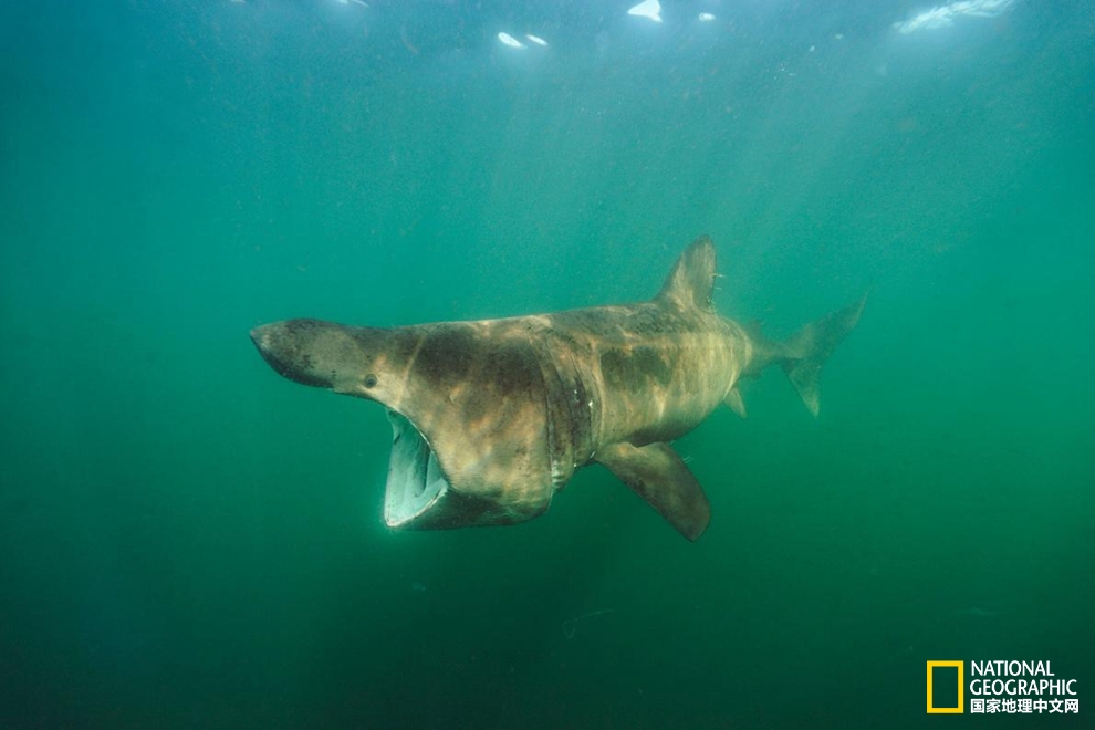 一支50g的防晒霜可以用多久,一支防晒霜需要多少帽子