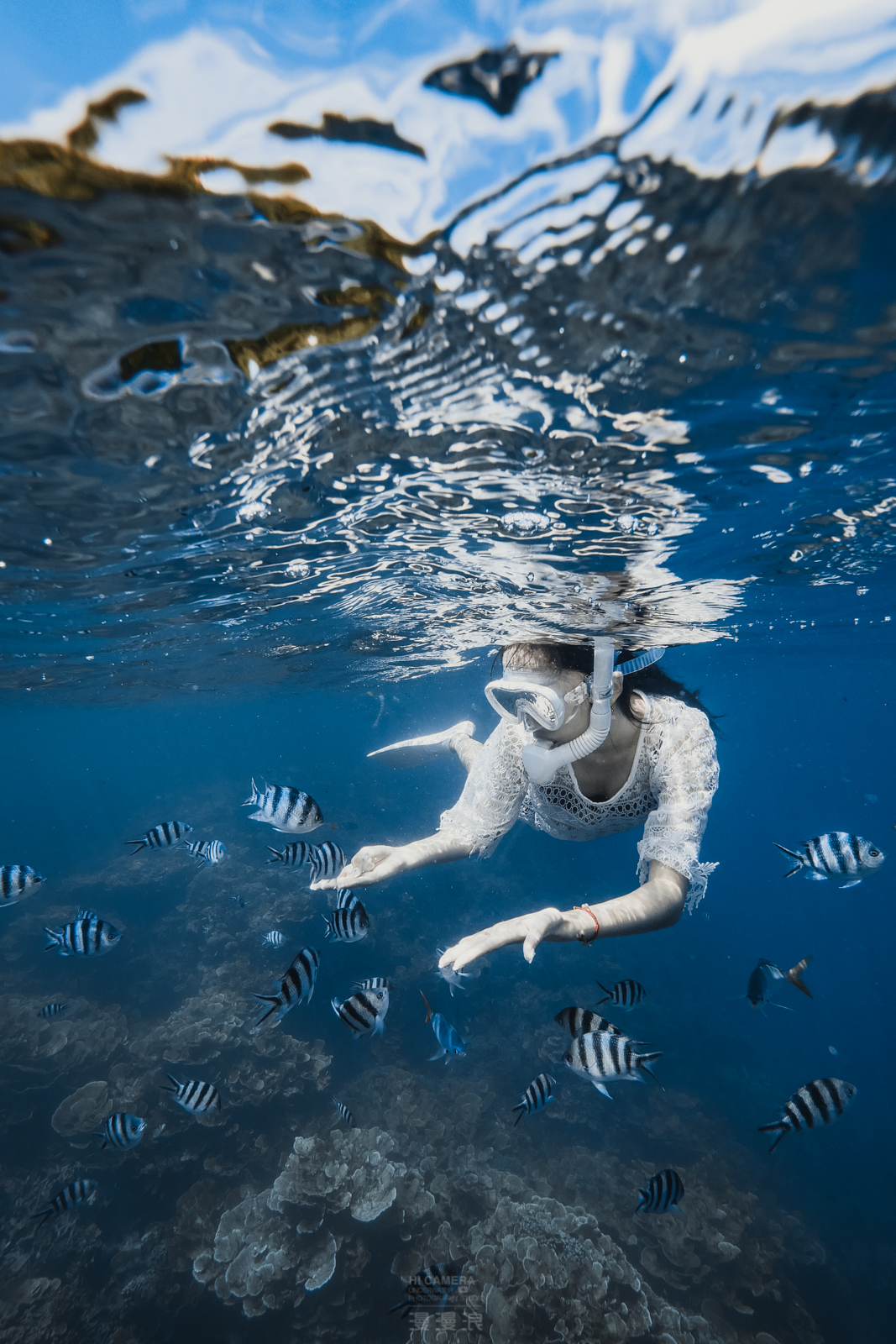 帕劳旅游攻略,帕劳自由行最佳路线