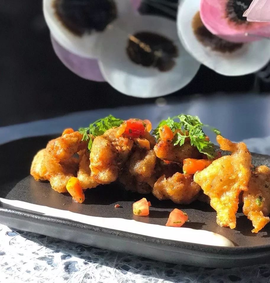 五月天世界巡回演出,五月天演唱会