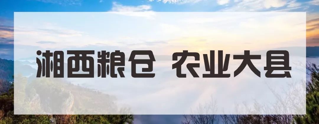 下一站溆浦南站,下一站怀化南站