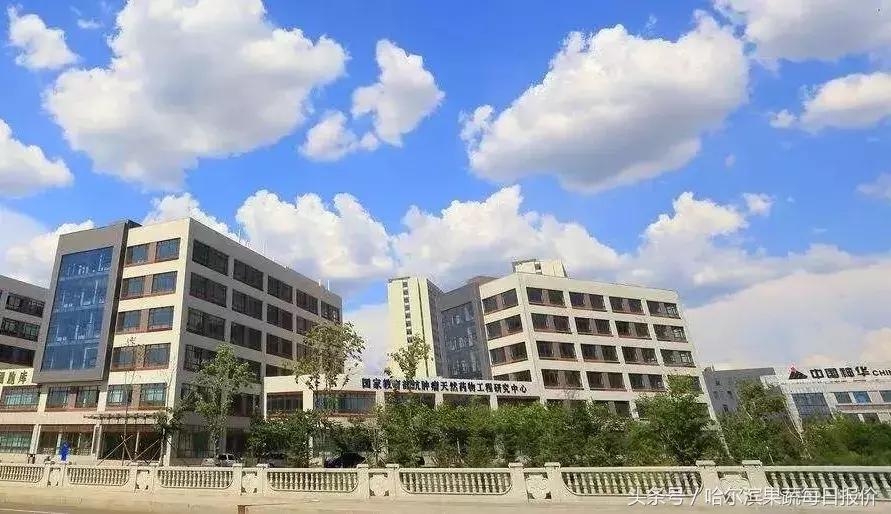 哈尔滨属于几线城市全国排名多少,哈尔滨百强榜排第几位2021年