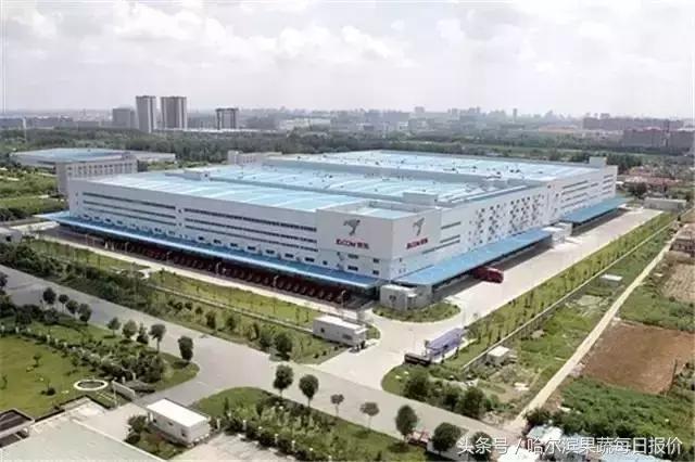 哈尔滨属于几线城市全国排名多少,哈尔滨百强榜排第几位2021年