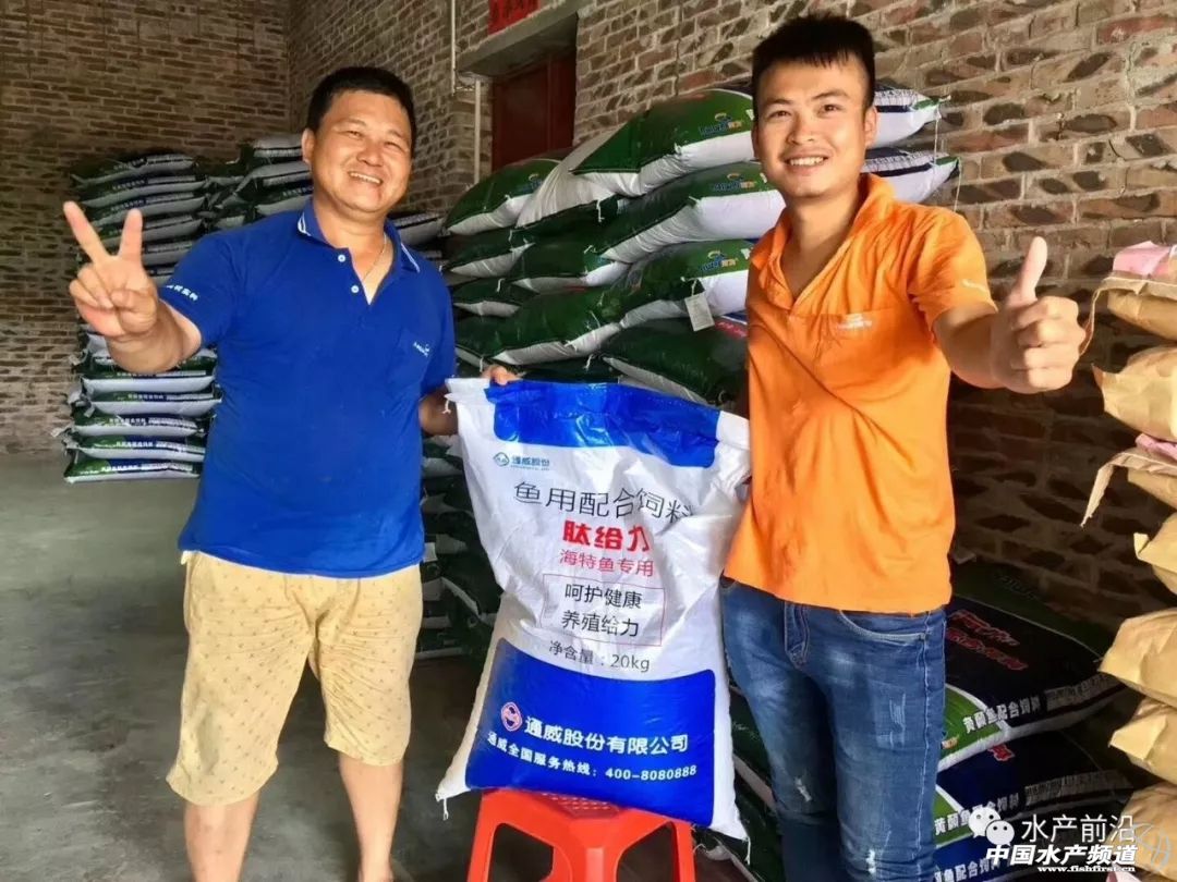 可以用于水产养殖的饲料,水产养殖功能性饲料