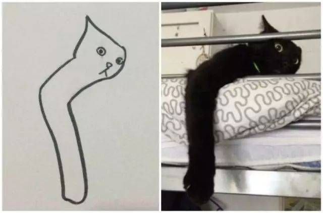 法国研究者证明猫是液体荣获诺贝尔物理学奖