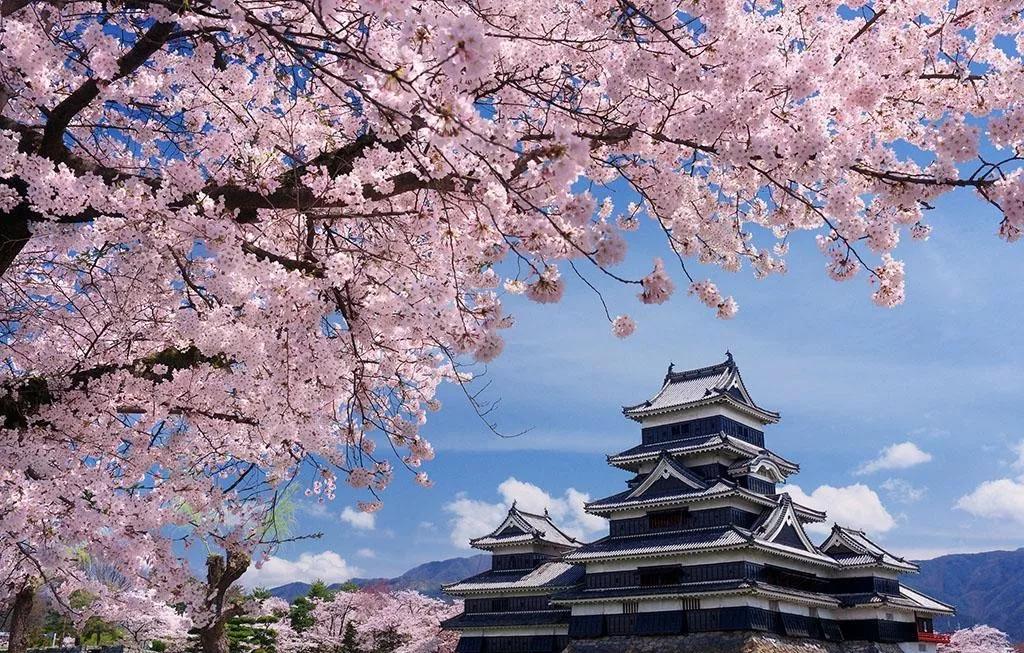 古建筑物的拍摄方法,哈尔滨古建筑拍摄