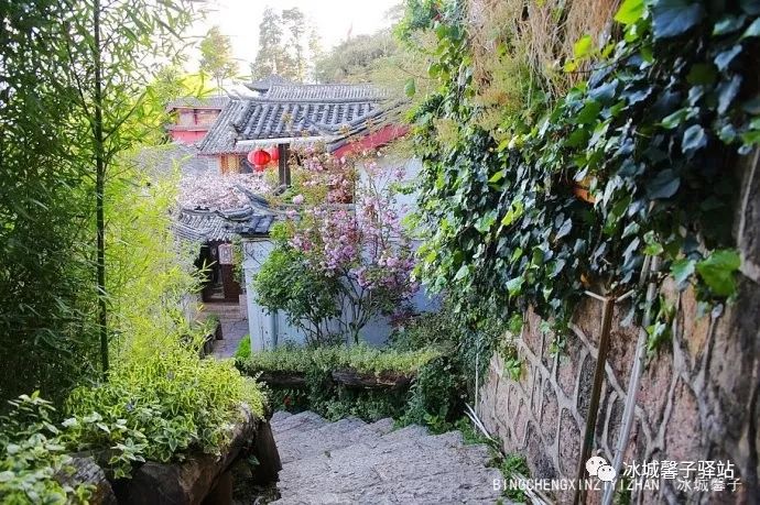 为什么要去大理才算爱得认真,为什么要去丽江古城旅游