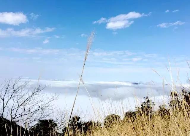 对不起，我劝你千万别去从化，不然会后悔……